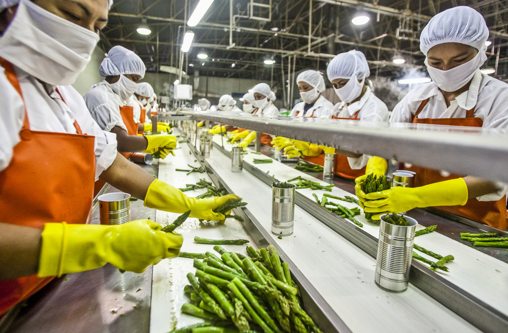 econom-a-agraria