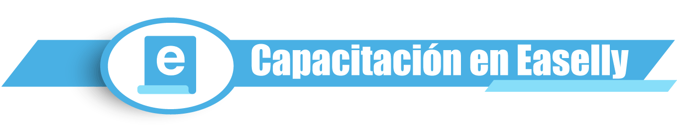 Capacitación Easelly